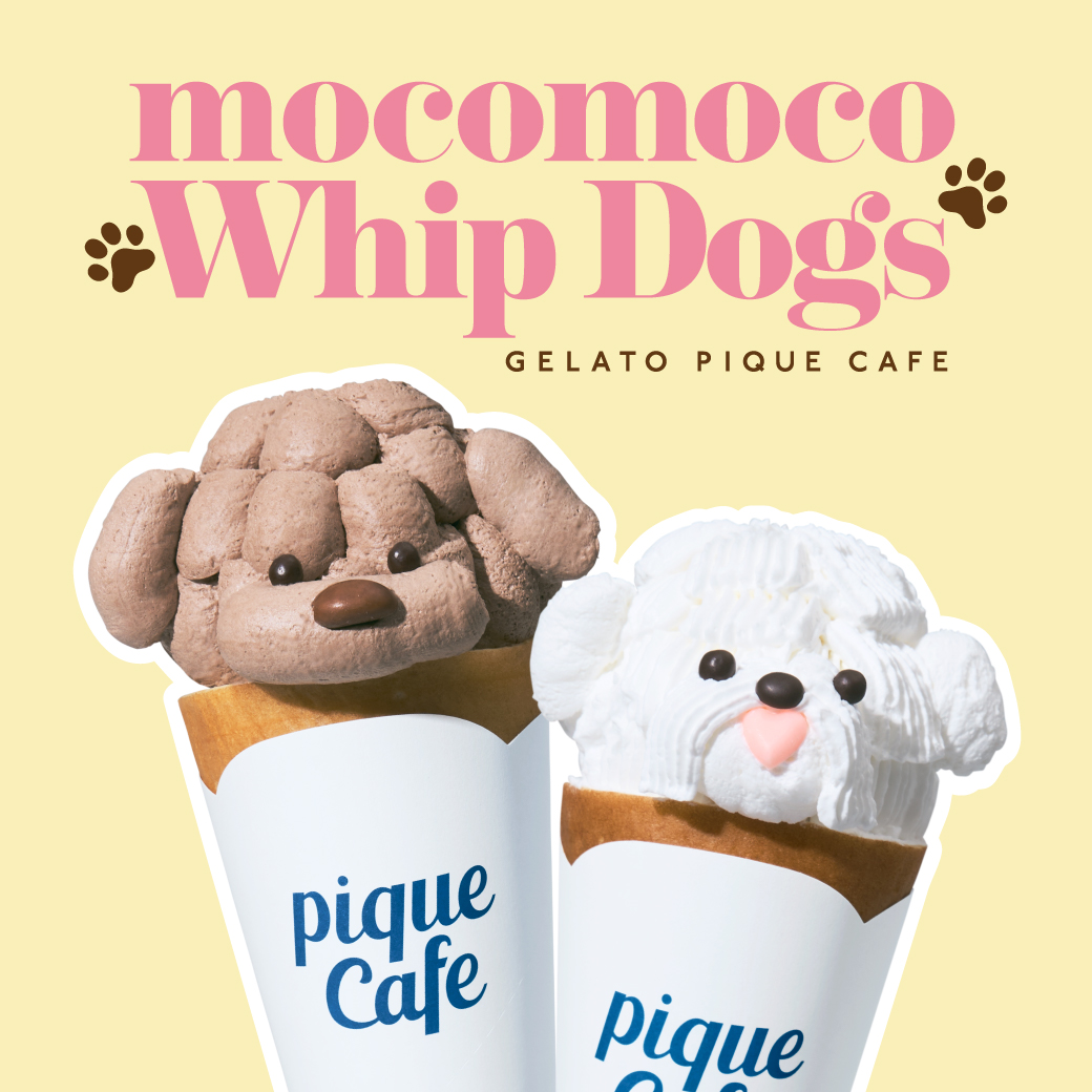 ニュース｜ジェラートピケカフェ