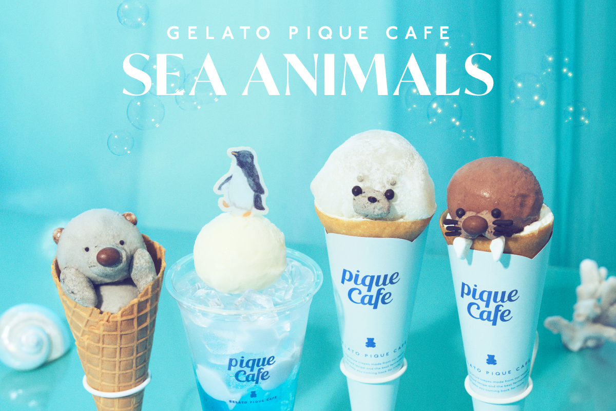 ニュース｜ジェラートピケカフェ